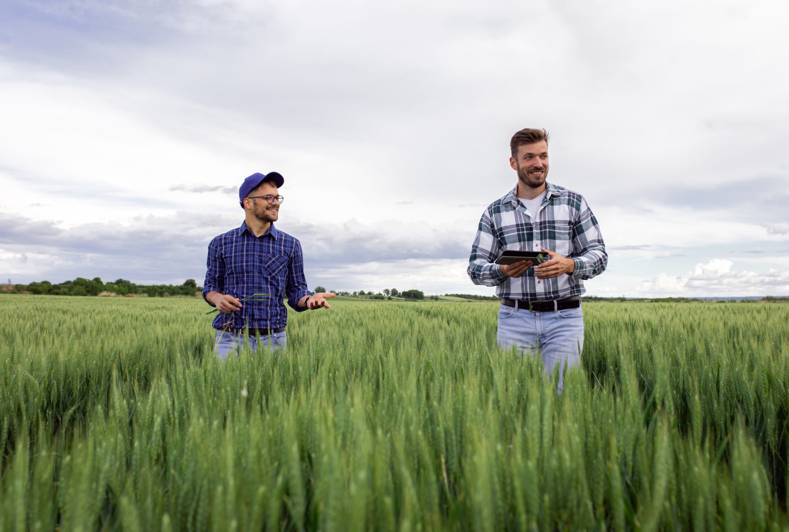 Robust, Scalable And Secure Digital Services Delivered On Demand